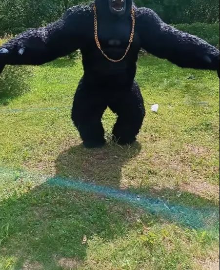Anime Cosplay Real Life - 大人のための膨脹可能なゴリラの衣装,完全なマスコット,巨大な毛皮,イベントやパーティーのための豪華なドレス,バッテリーなし,実際の生活